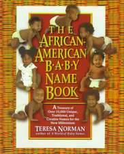 The African-American Baby Name Book