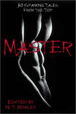 Master/slave: 30 Stinging Tales from the Bottom / 30 Spanking Tales from the Top