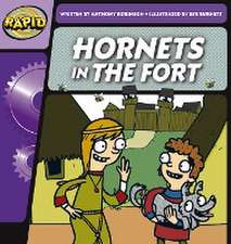 Robinson, A: Rapid Phonics Step 2: Hornets in the Fort (Fict