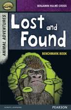 Reid, D: Rapid Stage 7 Assessment book: Lost and Found