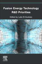 Fusion Energy Technology R&D Priorities