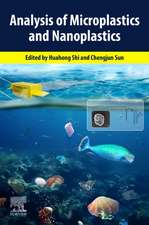 Analysis of Microplastics and Nanoplastics