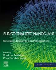 Functionalized Nanoclays