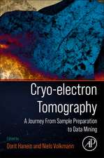 Cryo-electron Tomography: A Journey from Sample Preparation to Data Mining