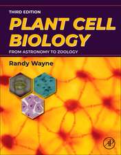 Plant Cell Biology: From Astronomy to Zoology