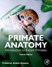 Primate Anatomy