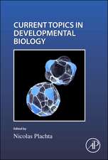 Cell Shape and Position during Development