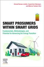 Smart Prosumers within Smart Grids