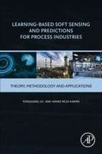 Learning-Based Soft Sensing and Predictions for Process Industries: Theory, Methodology and Applications