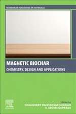 Magnetic Biochar: Chemistry, Design and Applications