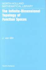 The Infinite-Dimensional Topology of Function Spaces