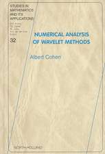 Numerical Analysis of Wavelet Methods