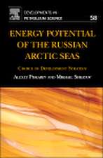 Energy Potential of the Russian Arctic Seas: Choice of Development Strategy