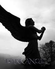 Dark Angel