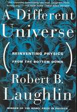 A Different Universe: Reinventing Physics From the Bottom Down