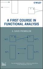 A First Course in Functional Analysis