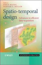 Spatio-Temporal Design