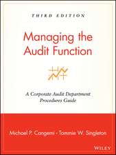 Audit Function 3e