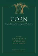 Corn – Origin, History, Technology and Production