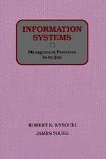 Information Systems – Management Practices in Action (WSE)