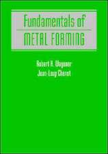 Fundamentals of Metal Forming (WSE)