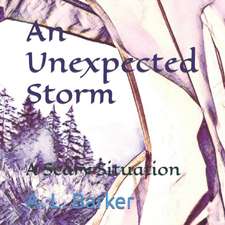 Barker, A: UNEXPECTED STORM