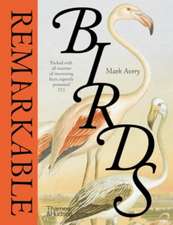Remarkable Birds