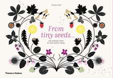 From Tiny Seeds