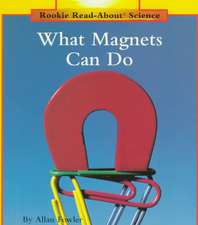 What Magnets Can Do