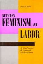 Between Feminism & Labor (Paper)