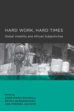 Hard Work, Hard Times – Global Volatility and African Subjectives