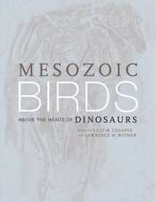 Mesozoic Birds – Above the Heads of Dinosaurs