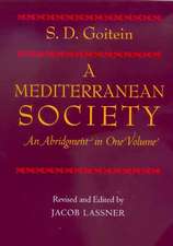 A Mediterranean Society – An Abridgement in One Volume