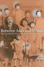 Between Arab and White – Race and Ethnicity in the Early Syrian–American Diaspora