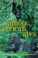 Among African Apes – Stories and Photos from the Field