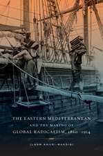 The Eastern Mediterranean and the Making of Global Radicalism, 1860–1914