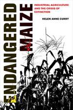 Curry, H: Endangered Maize
