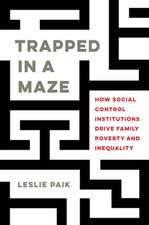 Trapped in a Maze – How Social Control Institutions Drive Family Poverty and Inequality