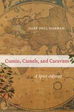 Cumin, Camels, and Caravans – A Spice Odyssey