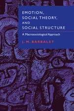 Emotion, Social Theory, and Social Structure: A Macrosociological Approach