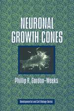 Neuronal Growth Cones