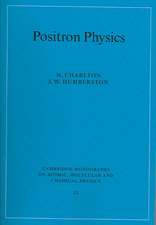 Positron Physics