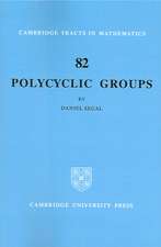 Polycyclic Groups