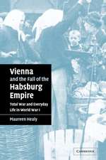 Vienna and the Fall of the Habsburg Empire: Total War and Everyday Life in World War I