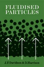 Fluidised Particles