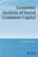 Economic Analysis of Social Common Capital