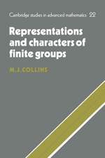 Representations and Characters of Finite Groups