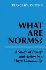 What Are Norms?: A Study of Beliefs and Action in a Maya Community