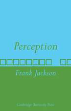 Perception: A representative theory