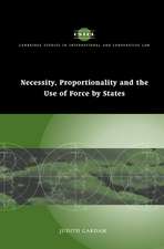 Necessity, Proportionality and the Use of Force by States